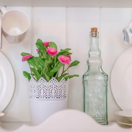 Old Romantic 3 普拉